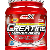 AMIX CREATINE 500G