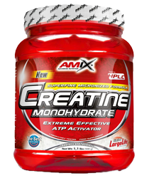 AMIX CREATINE 500G