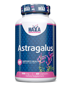 2515 HAYA ASTRAGALUS 500 MG