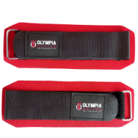 2671 OLYMPIA KRUTI STEZNICI
