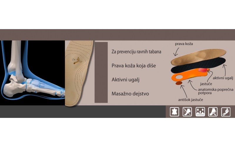 ANATOMIC-800x500-1 Uložak Anatomik ortopedski uložak za poprečno podizanje
